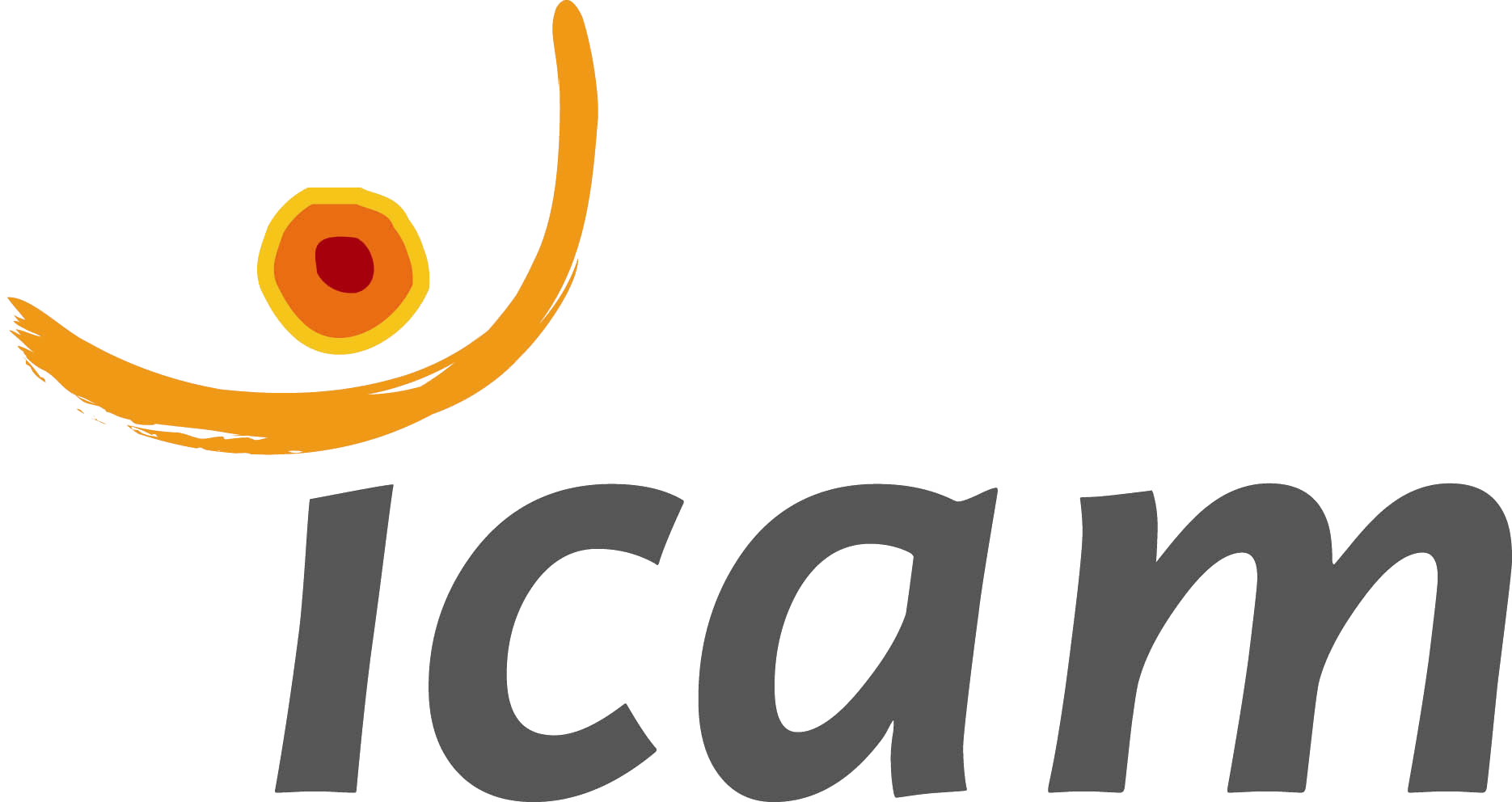ICAM Lille